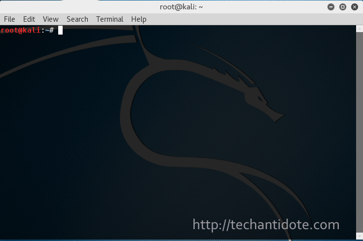 Kali Linux Terminal